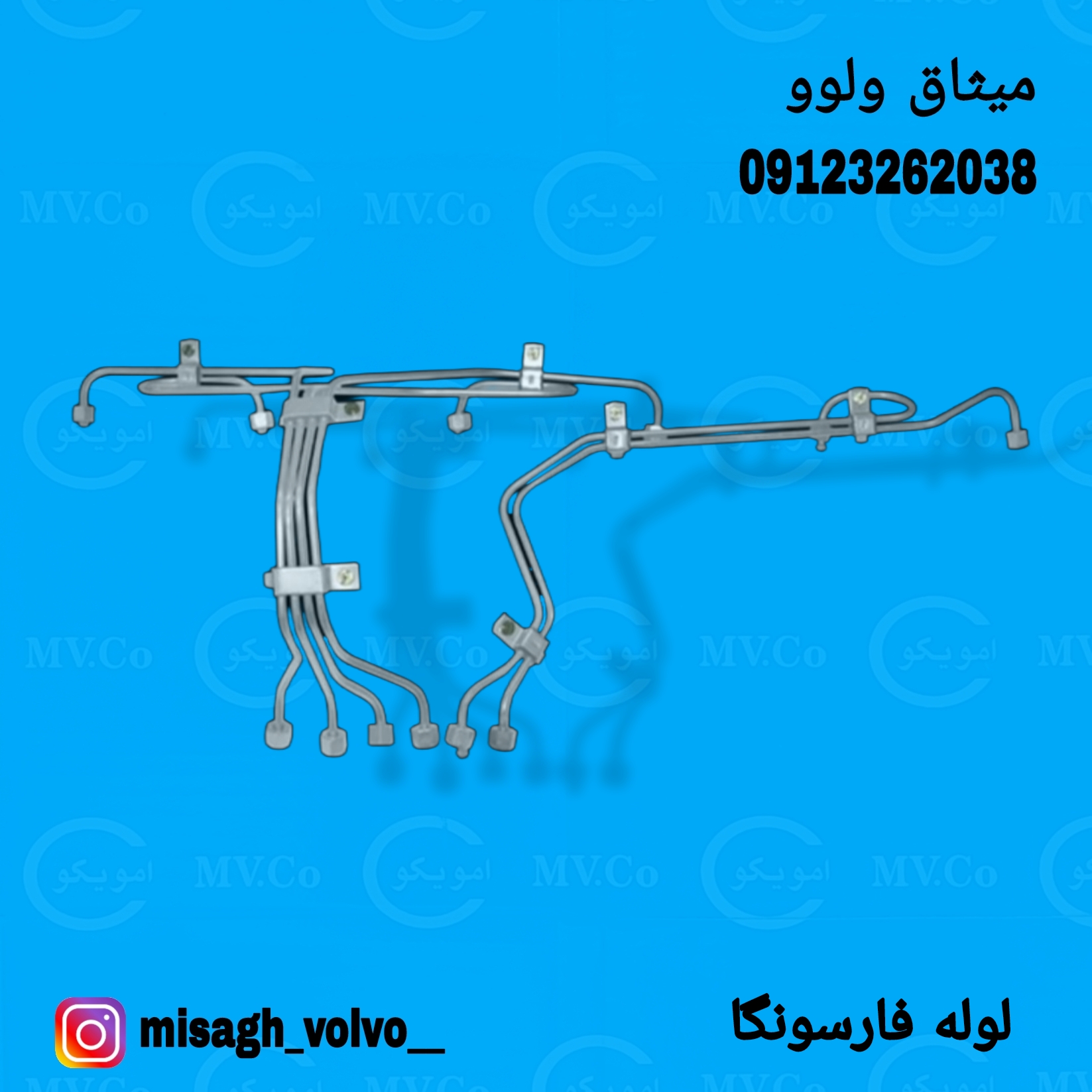 لوله فارسونگا